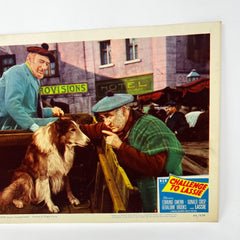 1949 Challenge To Lassie Movie Lobby Card (f)