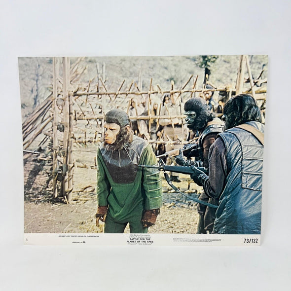 1973 Battle For The Planet Of The Apes Collectible Movie Lobby Card No.7