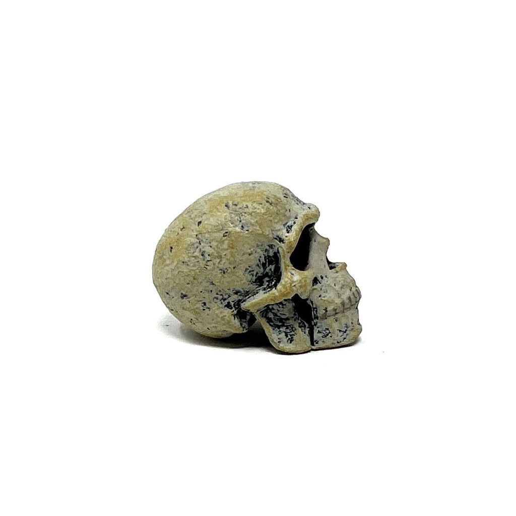 Neca Teenage Mutant Ninja Turtles  Leonardo Hunchback Skull Loose Only