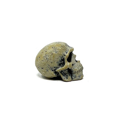 Neca Teenage Mutant Ninja Turtles  Leonardo Hunchback Skull Loose Only