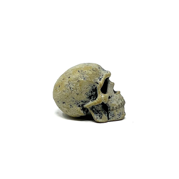 Neca Teenage Mutant Ninja Turtles  Leonardo Hunchback Skull Loose Only