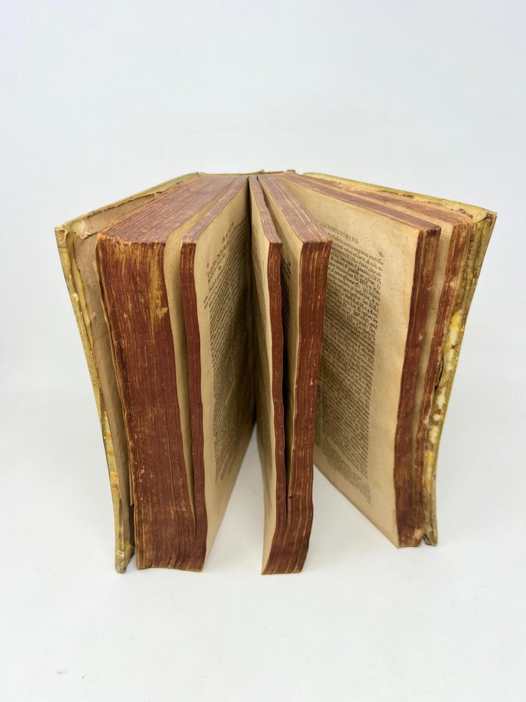 Philologia Sacra Salomon Glassius 1725 Johann Franz Budd J. G. Rühel Ogiaet St