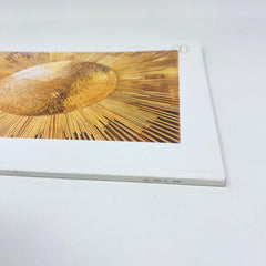 LOUIS VUITTON Catalog THE BOOK #8 2018 Japanese Version