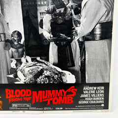 1972 Blood From The Mummy's Tomb Lobby Card Poster #4 Andrew Keir Valerie Leon