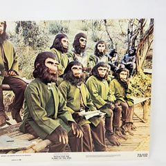 1973 Battle For The Planet Of The Apes Collectible Movie Lobby Card No.7