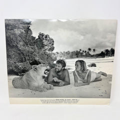 Born Free Original Original Movie Lobby card (a)