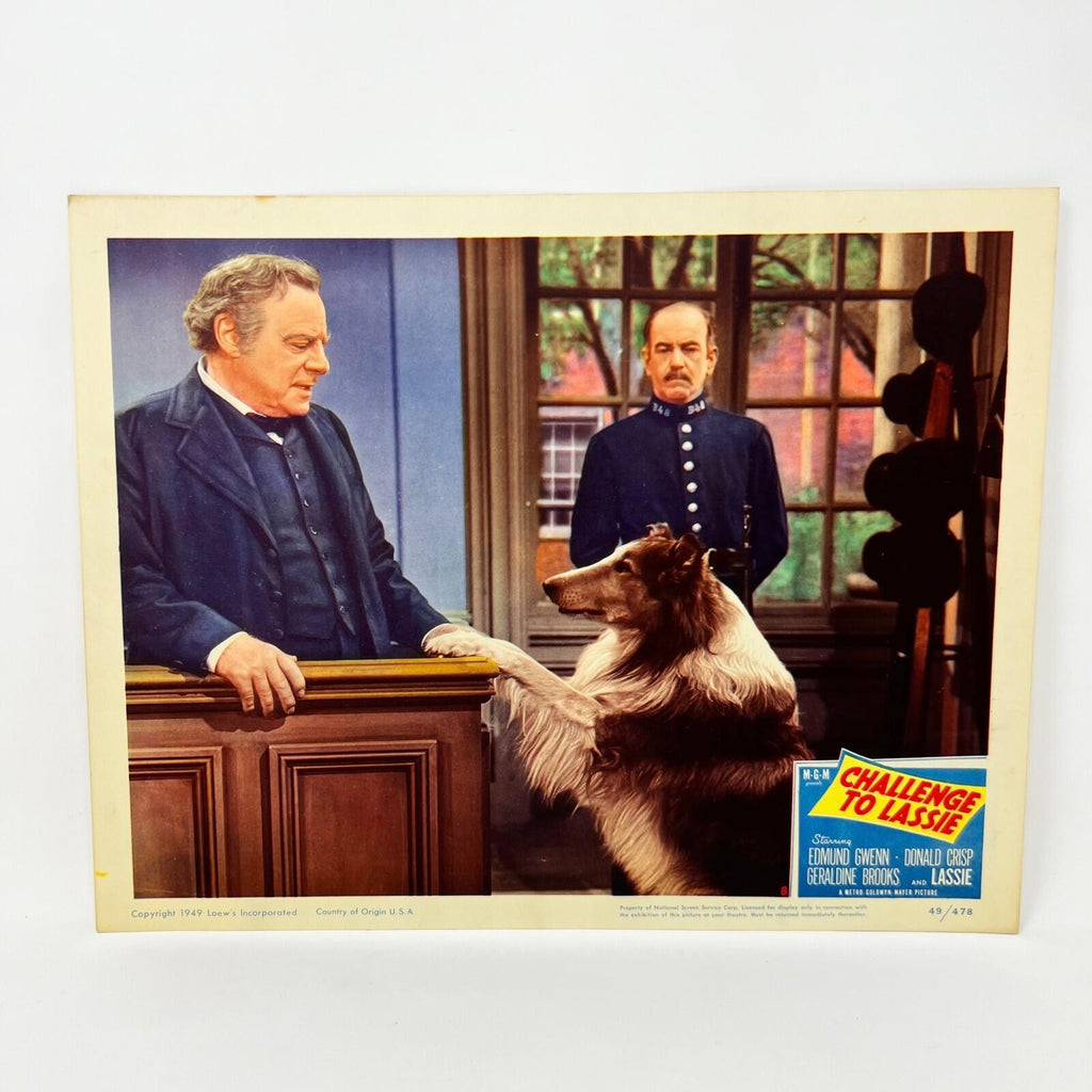 1949 Challenge To Lassie Movie Lobby Card (h)
