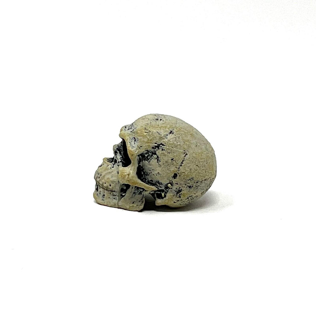 Neca Teenage Mutant Ninja Turtles  Leonardo Hunchback Skull Loose Only