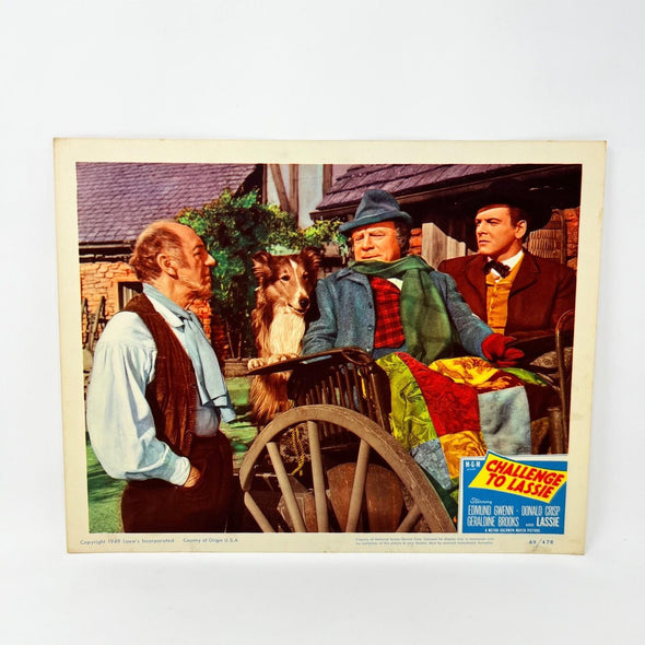 1949 Challenge To Lassie Movie Lobby Card (g)