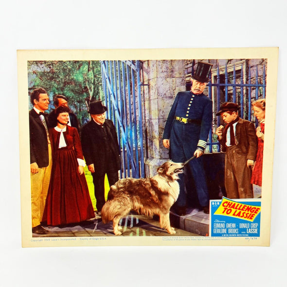 1949 Challenge To Lassie Movie Lobby Card (e)