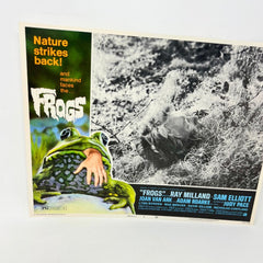 Nature Strikes Back Frogs Collectible Movie Lobby Card No.8