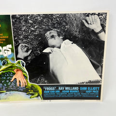 Nature Strikes Back Frogs Collectible Movie Lobby Card No.2