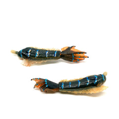 NECA Shape of Water Amphibian Man Alternative Hands