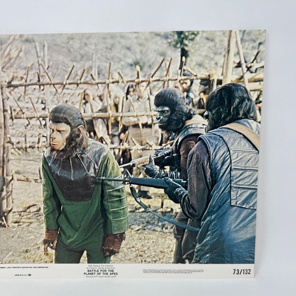 1973 Battle For The Planet Of The Apes Collectible Movie Lobby Card No.7