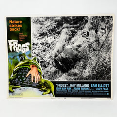 Nature Stikes Back Frogs Collectible movie Lobby Card Set of 8