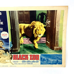 1963 Black Zoo Vintage Movie Lobby Card No1
