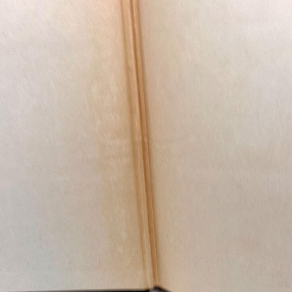 1926 /1927 The Sun also Rises  Ernest Hemingway First Edition