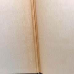 1926 /1927 The Sun also Rises  Ernest Hemingway First Edition