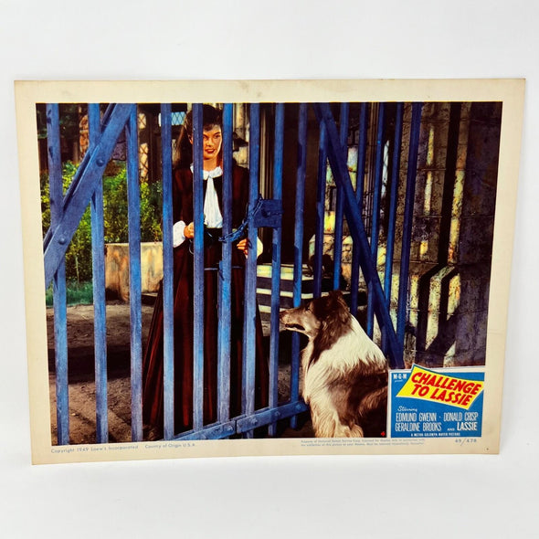 1949 Challenge To Lassie Movie Lobby Card (d)
