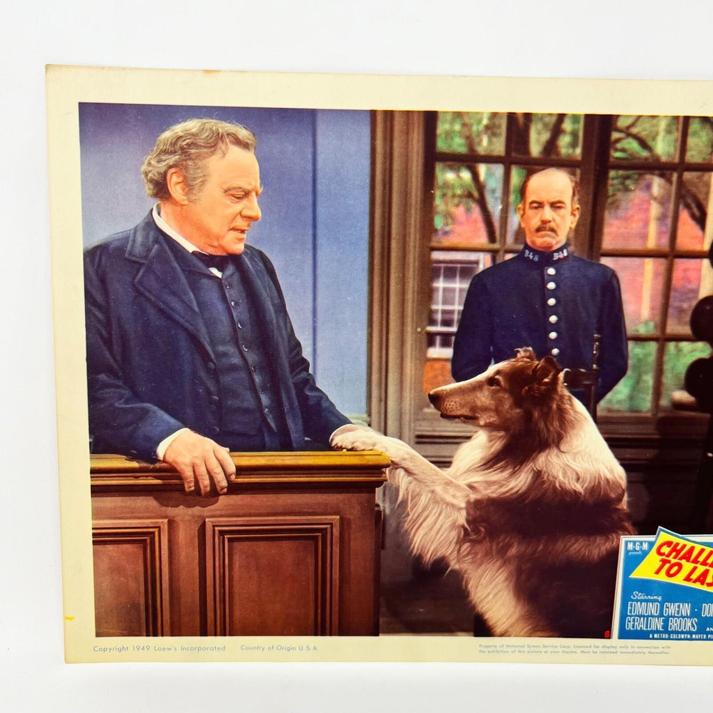 1949 Challenge To Lassie Movie Lobby Card (h)
