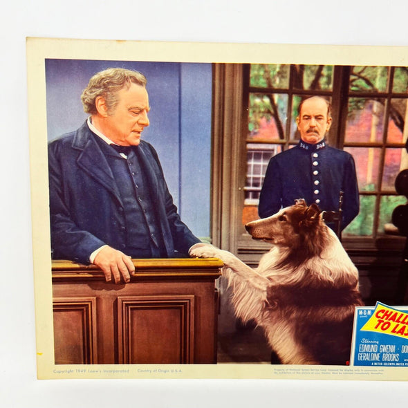 1949 Challenge To Lassie Movie Lobby Card (h)
