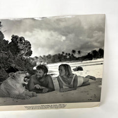 1966 Born Bree Original  Movie Lobby Card Virginia McKenna Bill Travers