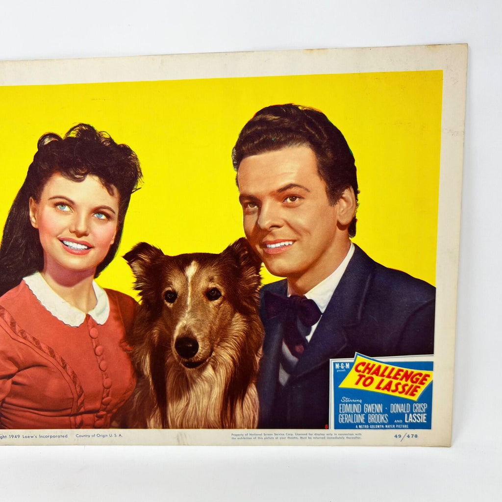 1949 Challenge To Lassie Movie Lobby Card (b)