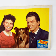 1949 Challenge To Lassie Movie Lobby Card (b)