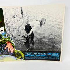 Nature Strikes Back Frogs Collectible movie Lobby Card No.1