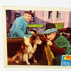 1949 Challenge To Lassie Movie Lobby Card (f)