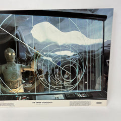 Star Wars The Empire Strikes back Sci-Fi Original Movie Lobby Card (d) 800001