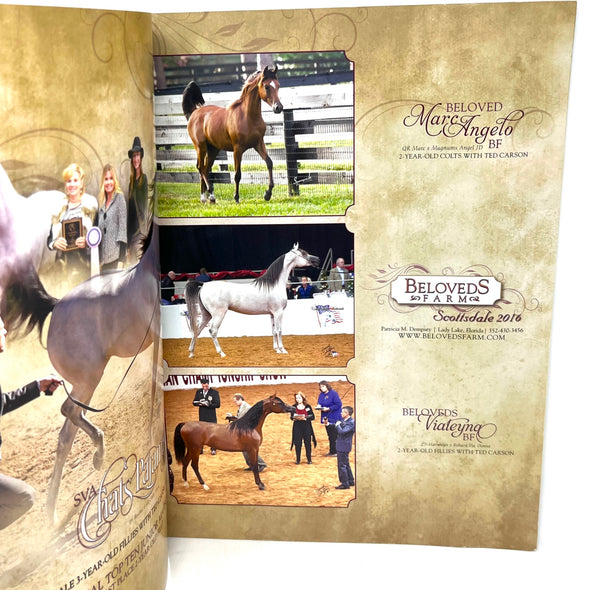 The Arabian Horse Times Vol. 46 No.9A 2016 Issue 2 Horse Magazine