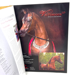 The Arabian Horse Times Vol. 46 No.9A 2016 Issue 2 Horse Magazine