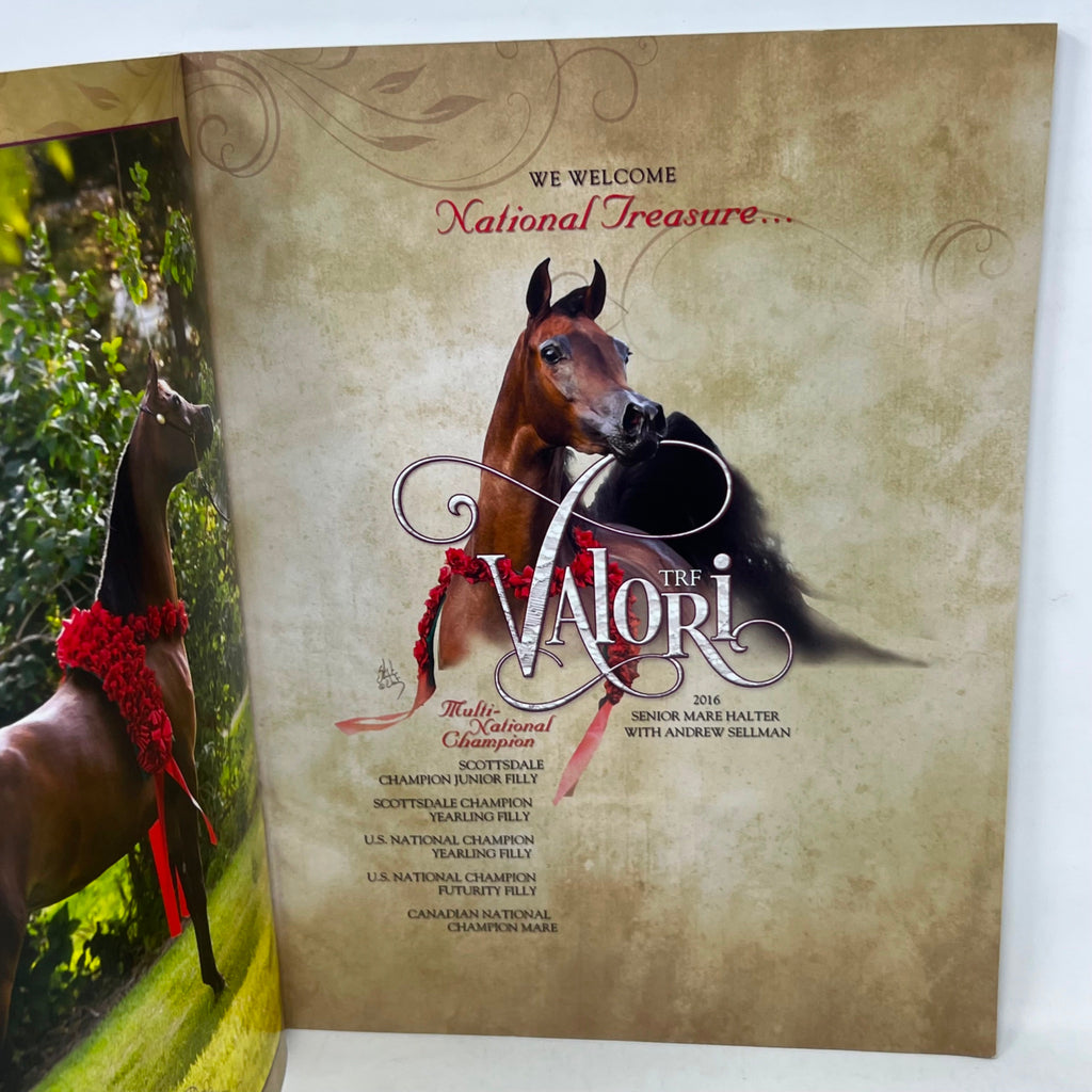 Arabian Horse Times Vol. 46 No.9AA 2016 Issue 2 Kahil Al Shaqab Cover