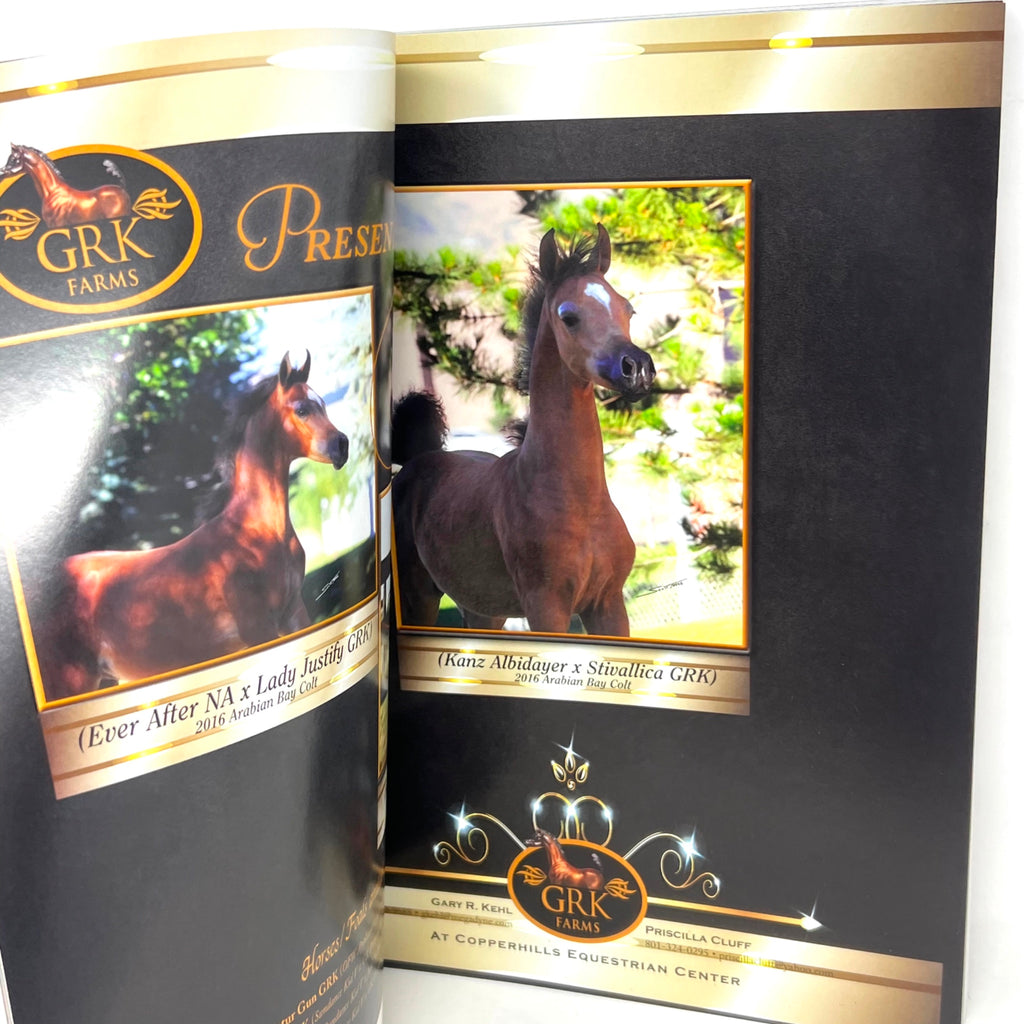 Arabian Horse Times Vol. 47 No.2 2016 Issue 7 Horse Magazine Khadraj Na