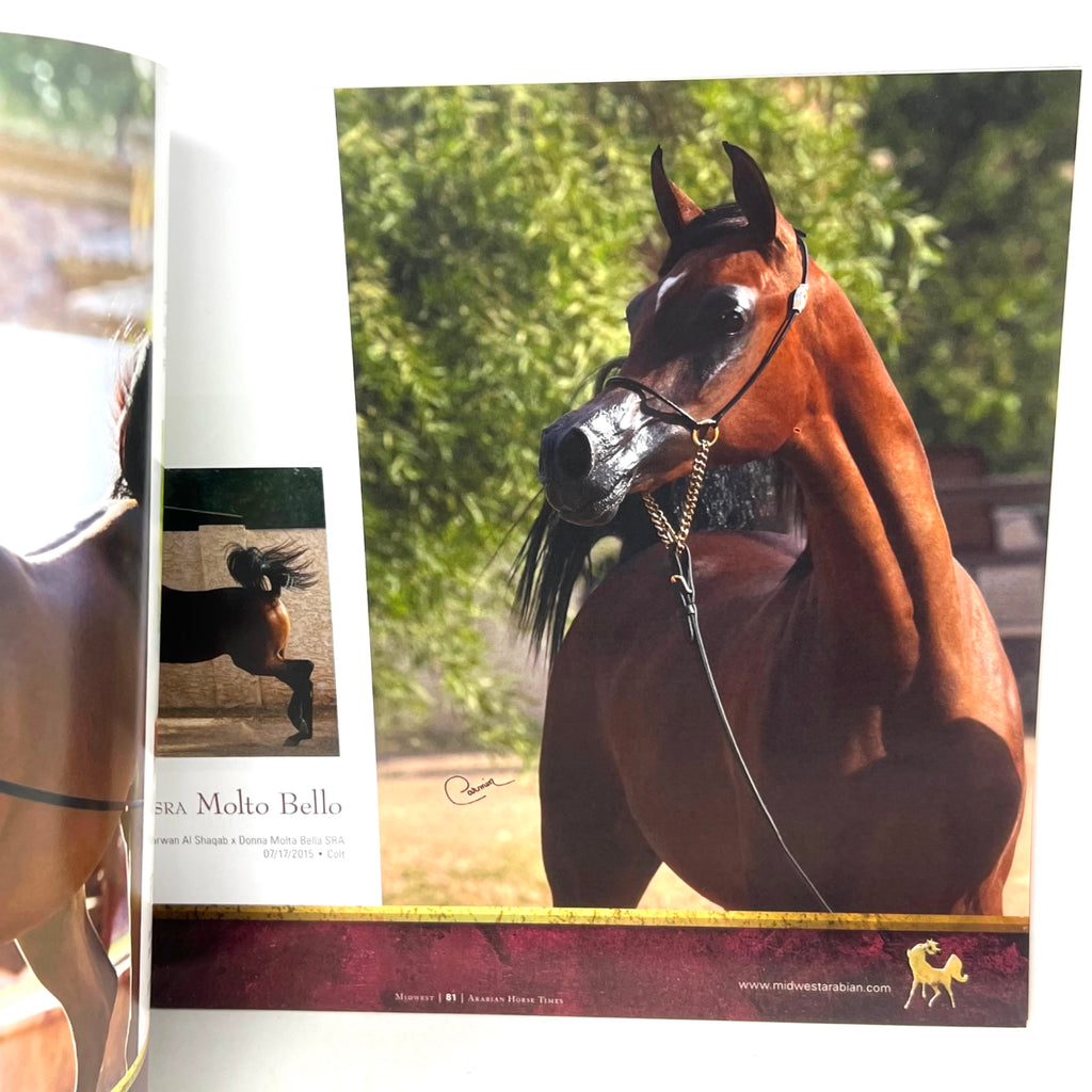 Midwest Training and Breeding Stations Supplement To Arabian Horse tiemes