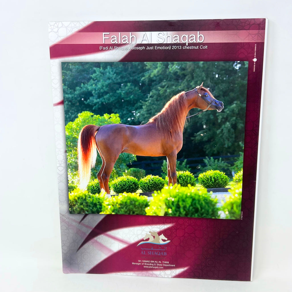 Arabian Horse Times Vol. 47 No.5A 2016 Issue 10 Ansata Halim Shah