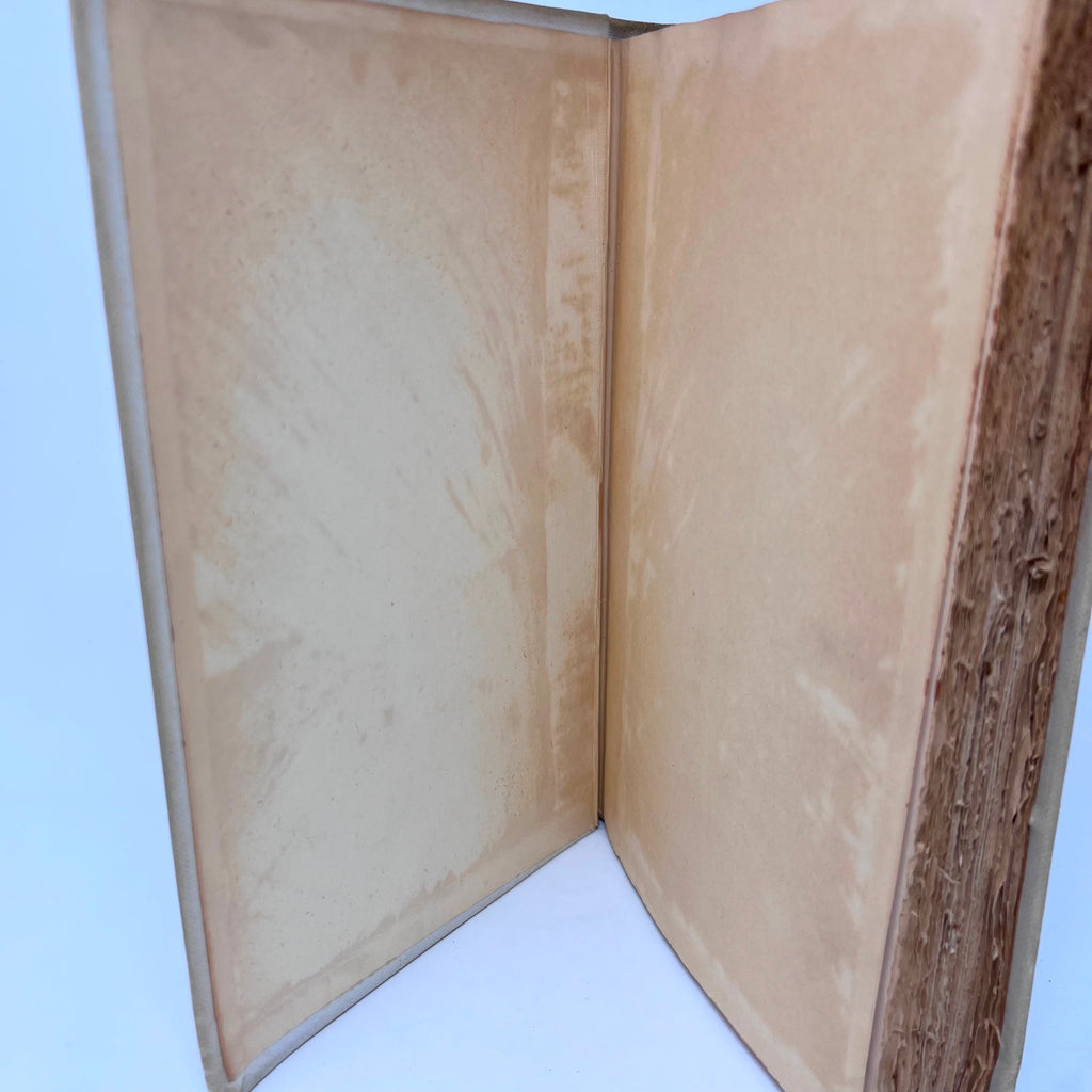 Don Juan with 93 Illustration & Decorations By Lord Byron