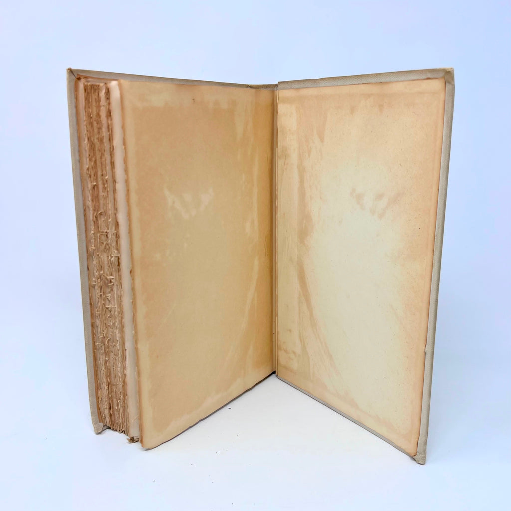 Don Juan with 93 Illustration & Decorations By Lord Byron