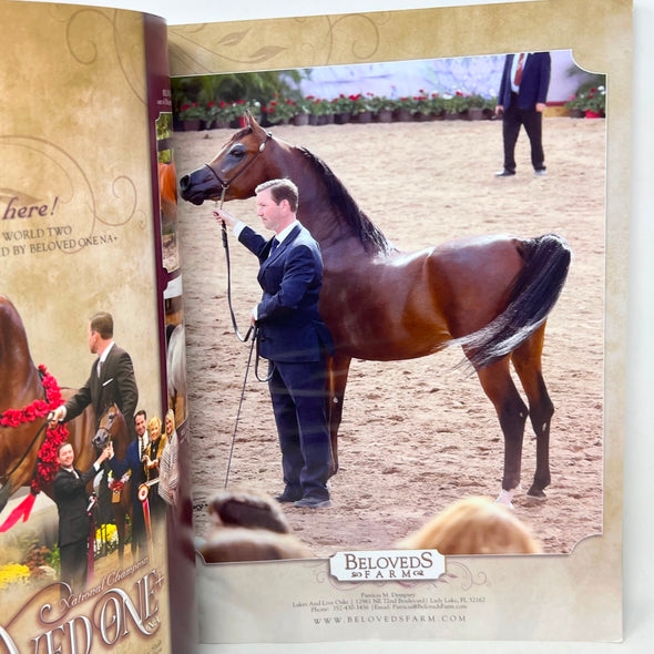 Arabian Horse Times Vol. 47 No.1 2016 Issue 6
