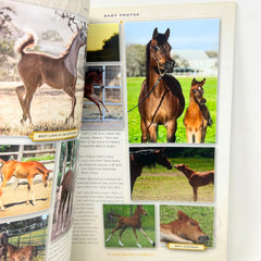 Arabian Horse World September 2015 Nol.55 No.12 Horse Magazine