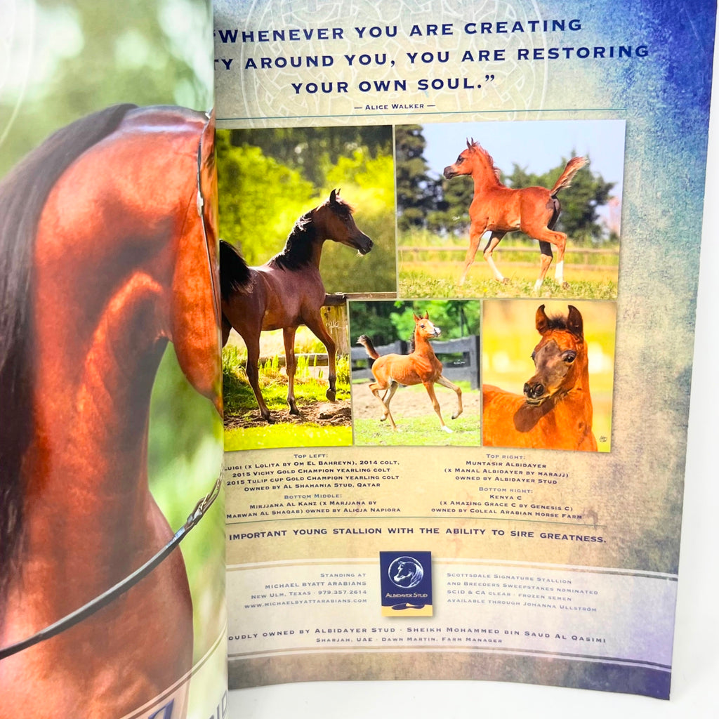 Arabian Horse World September 2015 Nol.55 No.12 Horse Magazine