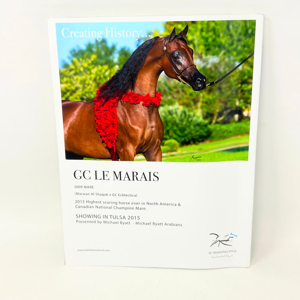 Arabian Horse World September 2015 Nol.55 No.12 Horse Magazine
