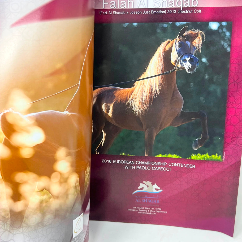 Arabian Horse World October 2016 Vol 57 No.1
