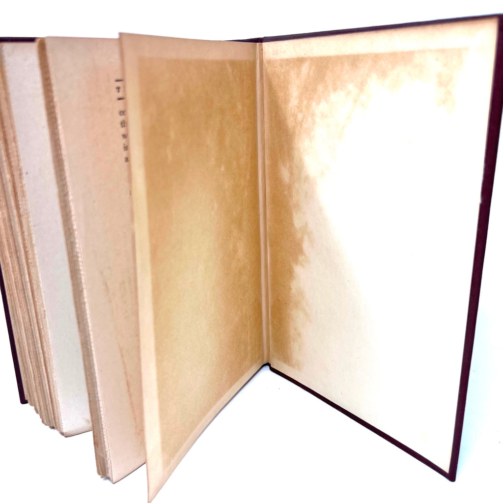 1928 The Rivet In Grandfather's Neck A Comedy Of Limitations By James Branch Cabell