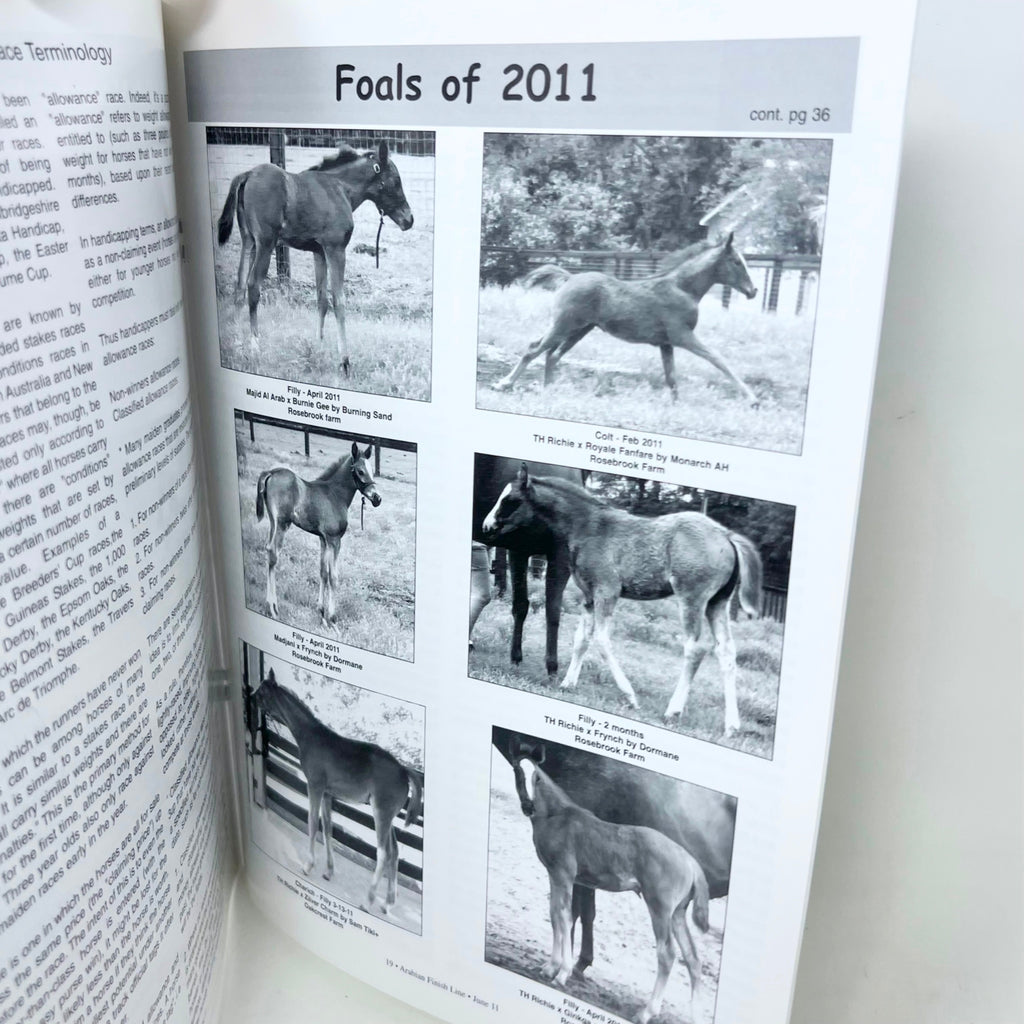 Arabian Finish Line June 2011 Vol. 24 No.6 Arabian Racings foremost Publication