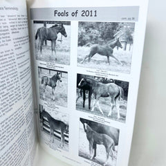 Arabian Finish Line June 2011 Vol. 24 No.6 Arabian Racings foremost Publication