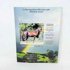 Arabian Finish Line April 2011 Vol 24 No.6 Arabian Racings foremost Publication