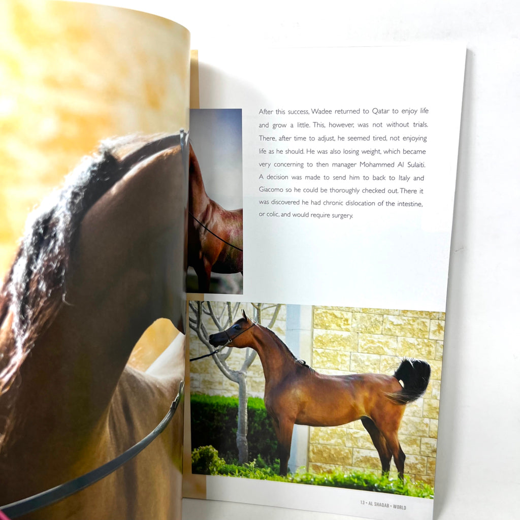Arabian Horse World November 2017 Vol. 58 No.2 Horse Magazine