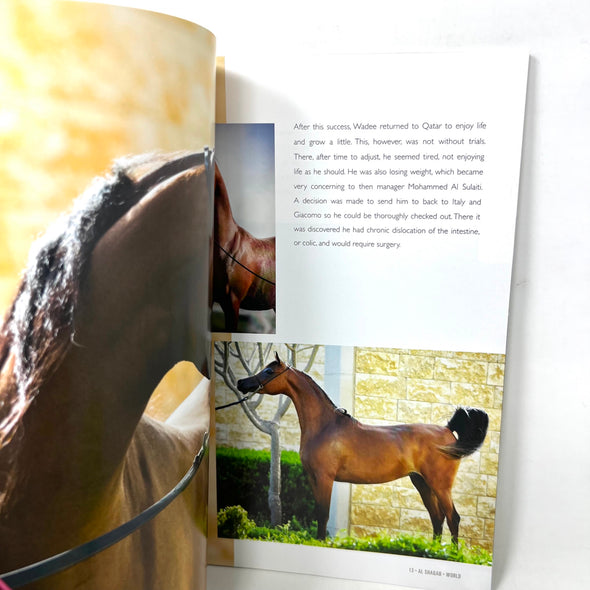 Arabian Horse World November 2017 Vol. 58 No.2 Horse Magazine
